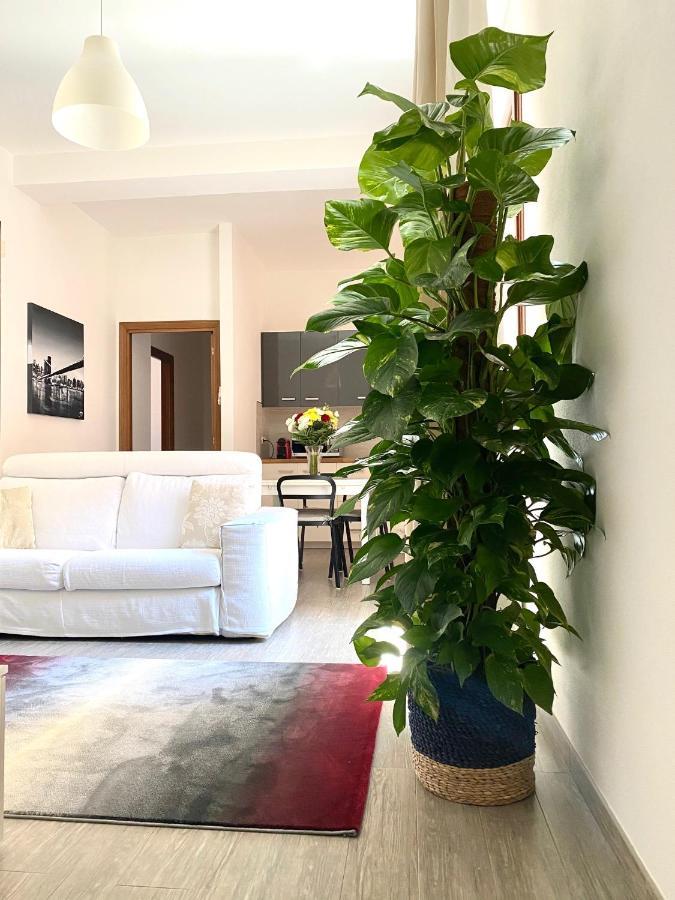 Delonix Regia Olbia Exterior foto
